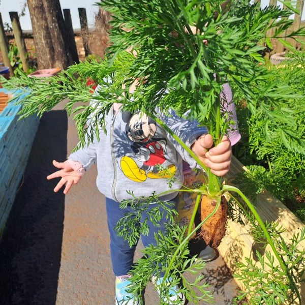 Pesquisa da Unioeste Campus de Toledo destaca educação ambiental na primeira infância