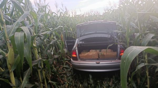 Fuga entre Assis Chateaubriand e Toledo termina com quase 280 kg de maconha apreendidos