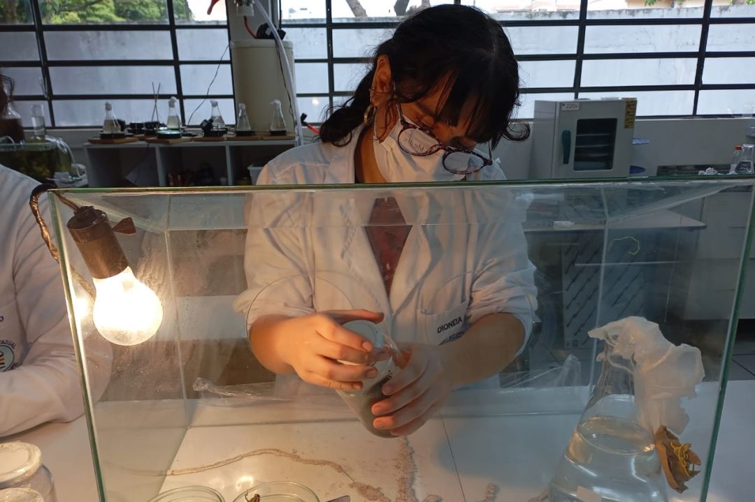Em 24 horas, vakinha de cientistas de Toledo classificadas para feiras nos EUA arrecada menos de 200 reais