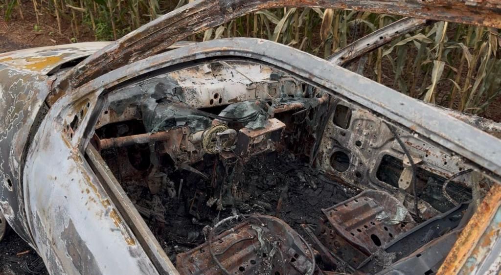 Incêndio destrói carro na PR-239, em Vila Nova