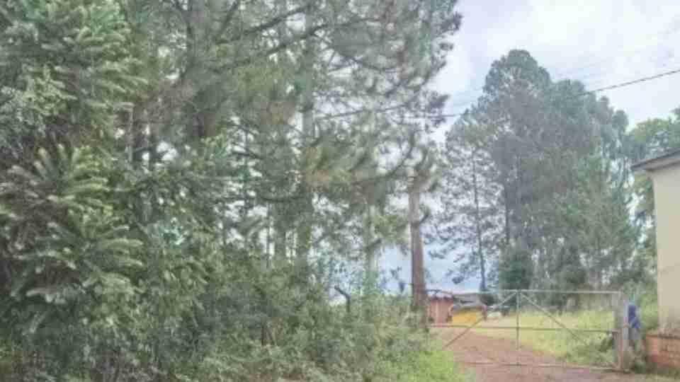 Ainda com o cordão umbilical, bebê é encontrado morto em pátio de empresa no Paraná