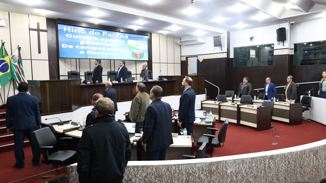 Sessão Suplementar da Câmara de Toledo aprova projetos sobre habitação, saúde e combate à violência contra a mulher