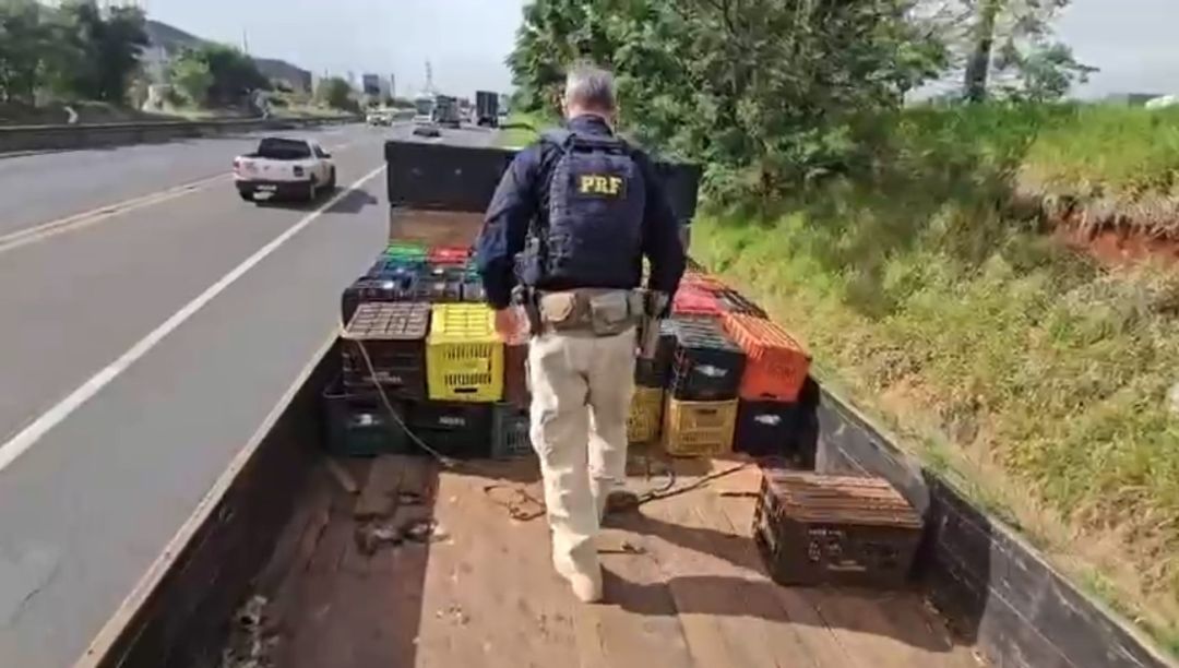 Policiais encontram caminhão quebrado no PR, ajudam motorista a sinalizar pista e descobrem 912 kg de droga