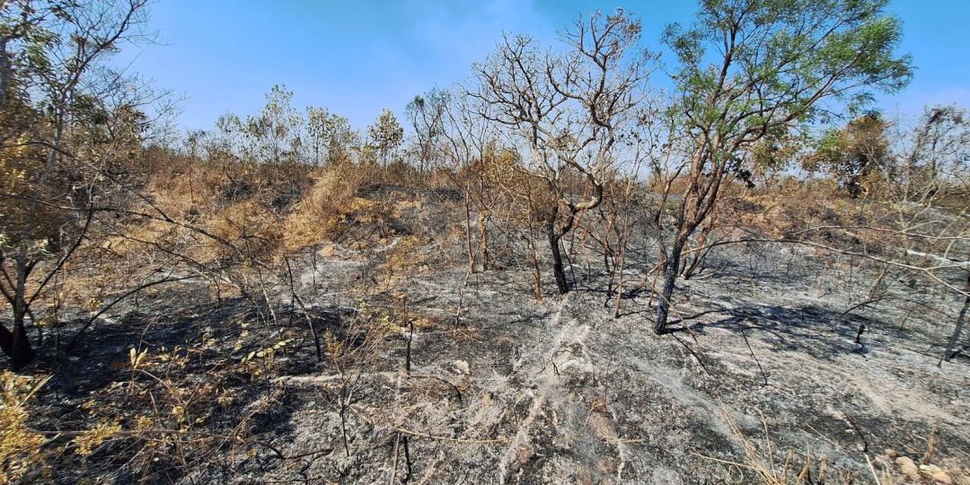 Mudanças climáticas já afetam 85% dos brasileiros, diz pesquisa