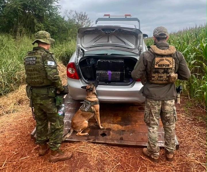 BPFron apreende 300 quilos de maconha após perseguição na zona rural de Guaíra