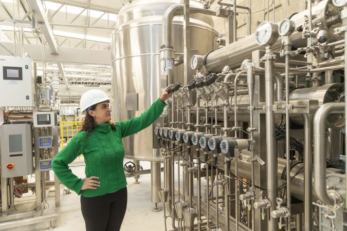 Tecpar inicia pesquisa para produção de insumos para diagnóstico da brucelose