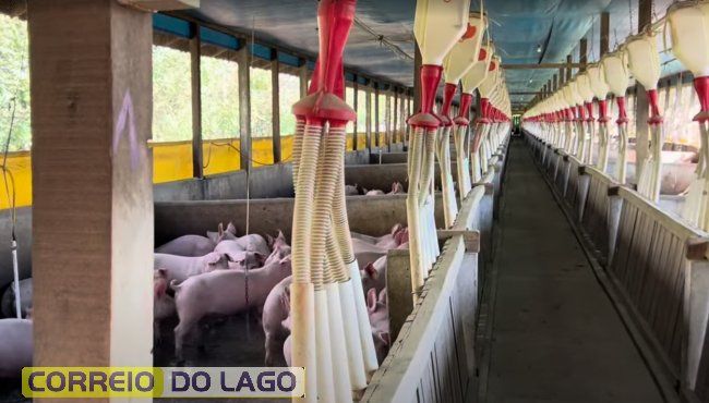 Produtores em Santa Helena, enfrentam mais de 72 horas sem energia elétrica