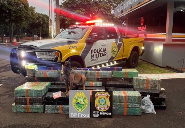 Quase uma tonelada de maconha e centenas de comprimidos de Ecstasy são apreendidos em Santa Helena