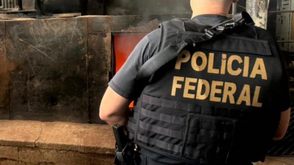 PF incinera mais de 8 toneladas de drogas apreendidas na região