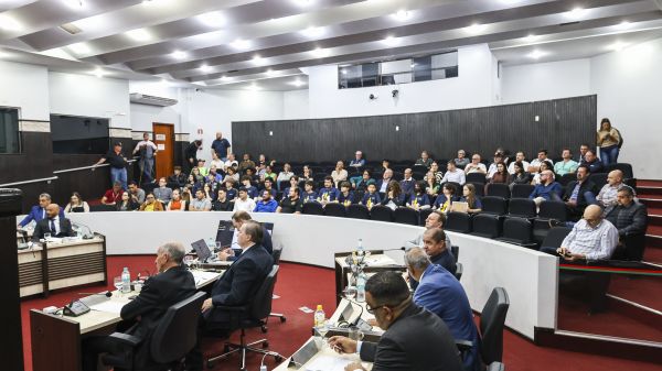 Câmara de Toledo aprova projeto que altera Código Municipal de Proteção aos Animais