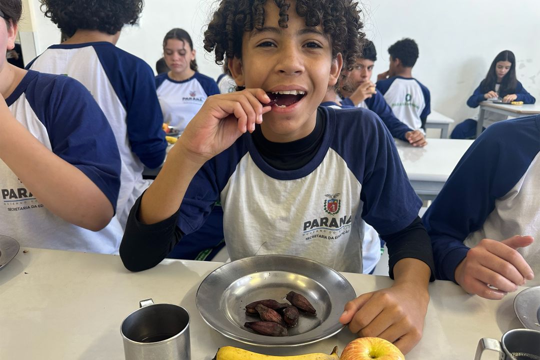 Pinhão amplia espaço nos cardápios da alimentação escolar da rede estadual