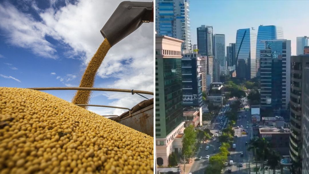 Toneladas de soja são encontradas no Paraná com nota falsa dizendo que carga foi carregada na Av. Faria Lima, a 'Wall Street brasileira' | G1