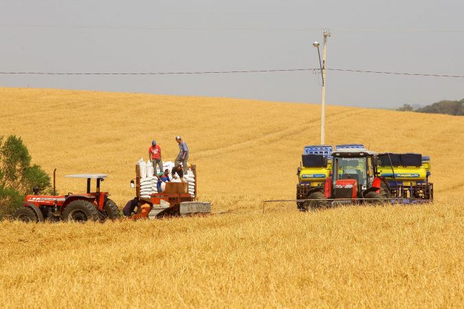 Estimativa de safra de maio tem Paraná entre os protagonistas do crescimento nacional