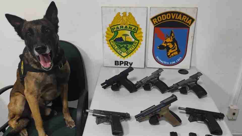 Mulher é presa com seis pistolas e munições em ônibus na PR-151