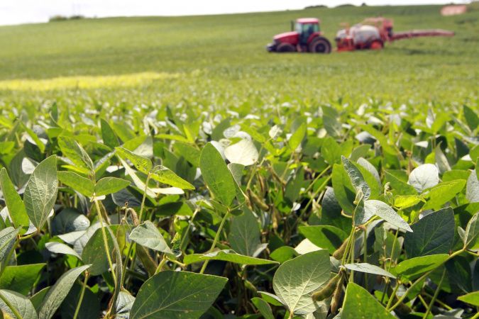 Complexo soja impulsiona agronegócio do Paraná com faturamento de US$ 2,94 bilhões até maio