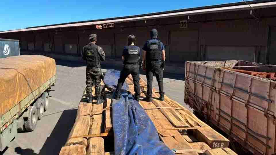 Operação internacional intercepta cargas de madeira e realiza maior apreensão de cocaína líquida do Brasil