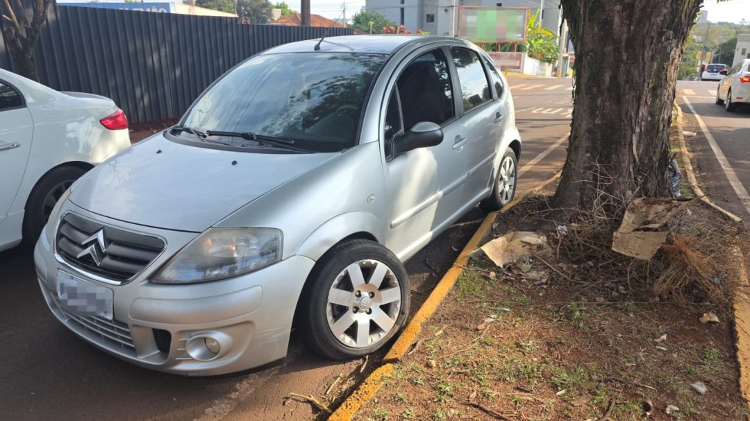 Motorista se assusta com animal dentro do carro e bate em árvore na Avenida Carlos Barbosa
