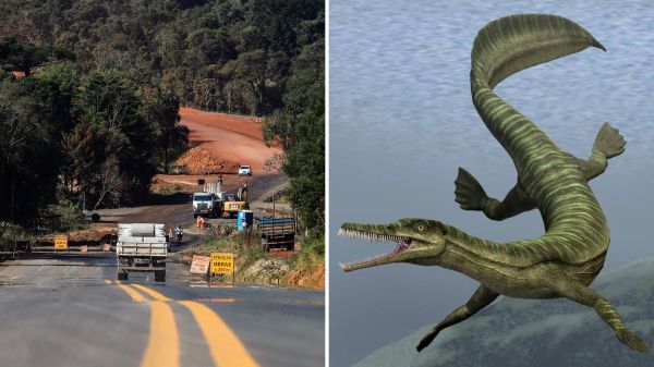 Obra de pavimentação no Paraná será retomada após pausa de 9 meses devido a fósseis