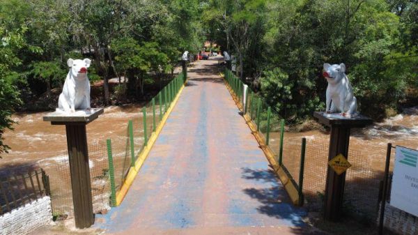 Prefeitura sanciona lei e amplia apoio à Festa do Porco no Rolete para até R$ 225 mil