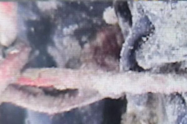 Novos laudos levantam suspeita de tortura em chacina que matou quatro homens em Icaraíma