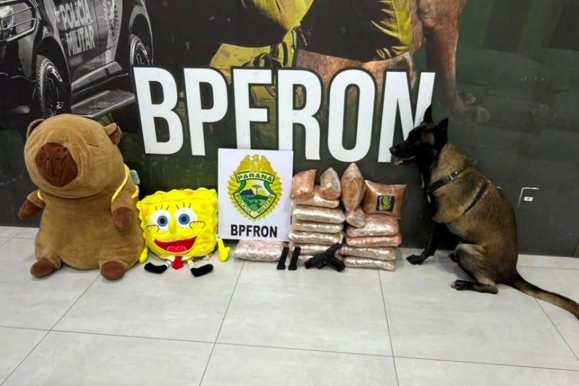 Bob Esponja e capivara com drogas são apreendidos com passageira armada em Umuarama