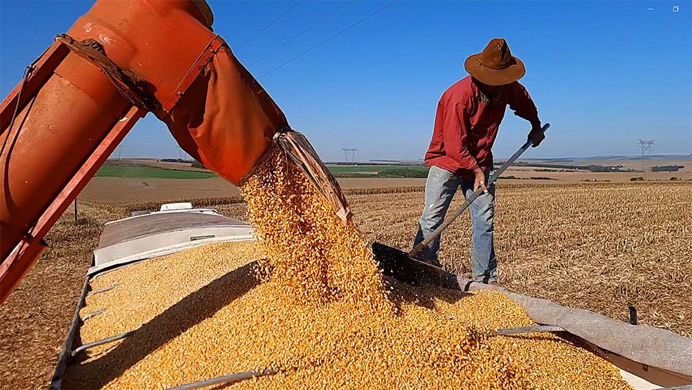 Produtores rurais buscam esclarecimentos sobre diferenças no preço dos grãos pagos na Região Oeste do Paraná