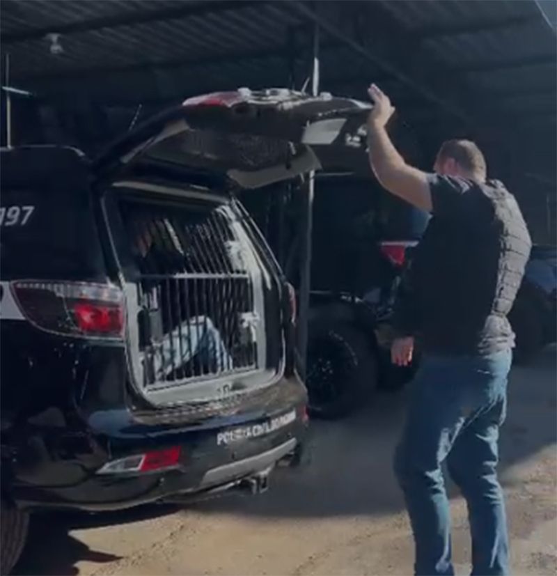 Polícia Civil prende homem em flagrante por série de furtos a residências em Toledo