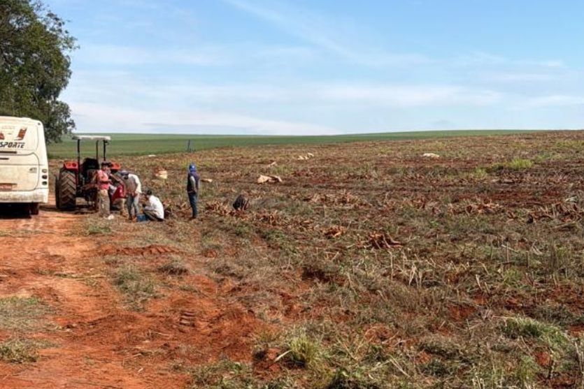 Fiscalização resgata 18 trabalhadores de situação análoga à escravidão em fazenda de Ivaté