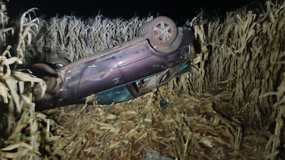 Após ser fechado na PR-585, carro sai da pista, desce barranco e capota em plantação de milho em Toledo
