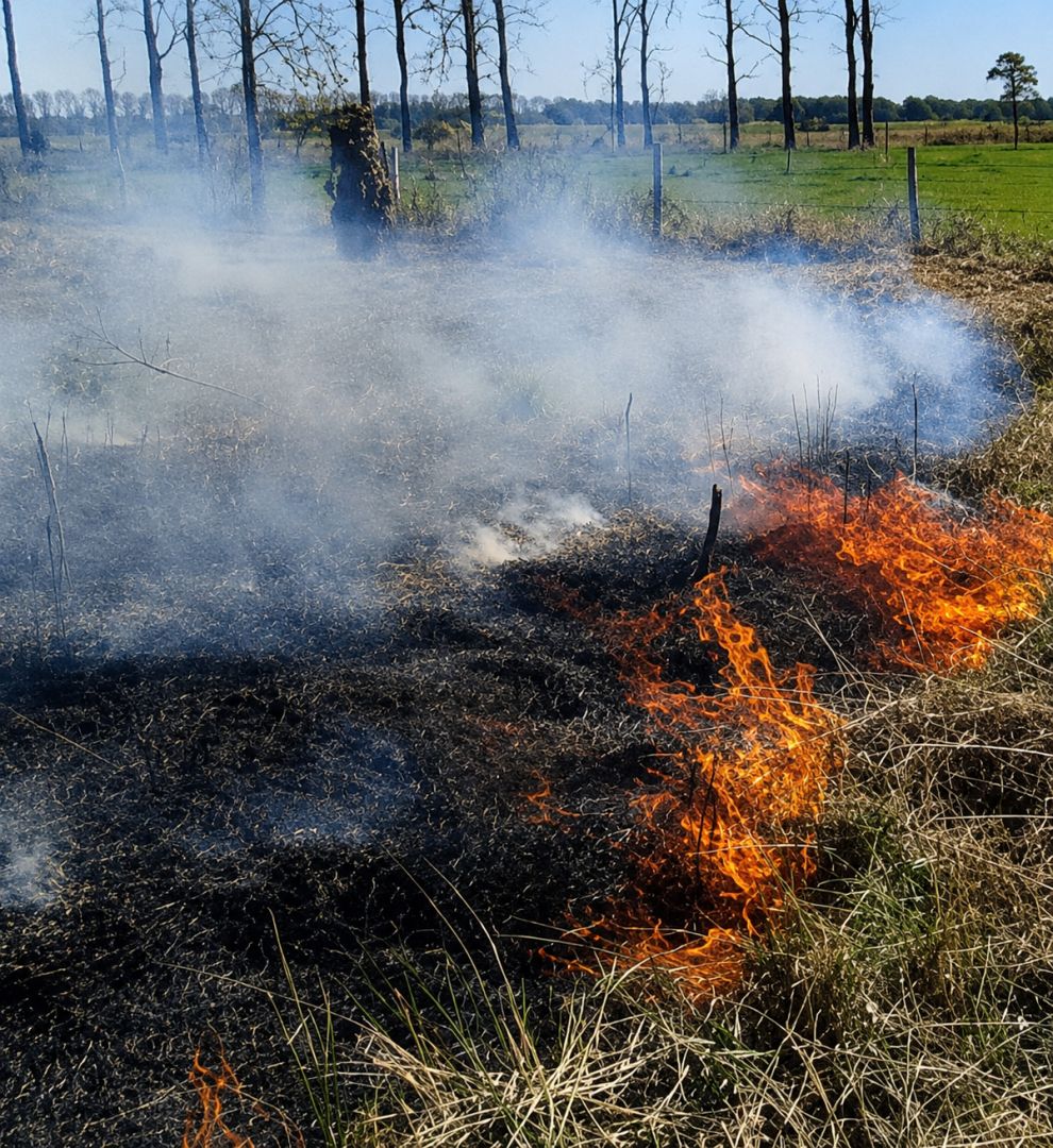 Prefeitura de Toledo alerta para riscos do mato alto e das queimadas e reforça denúncias pelo 156