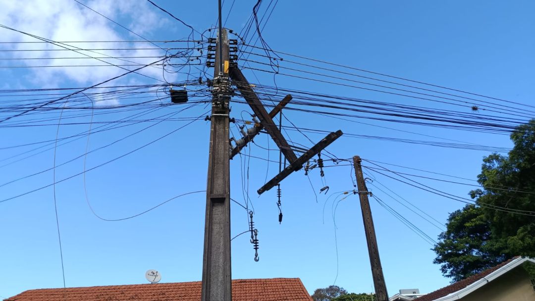 Queda de árvore deixa quarteirões sem energia e interdita rua no BNH