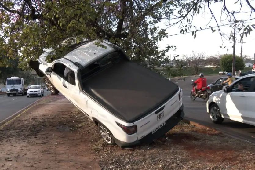 Carro perde o freio e fica pendurado em árvore após motorista evitar tragédia em Londrina