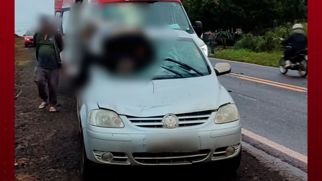 Pedestre morre atropelado na PR-495, em Missal