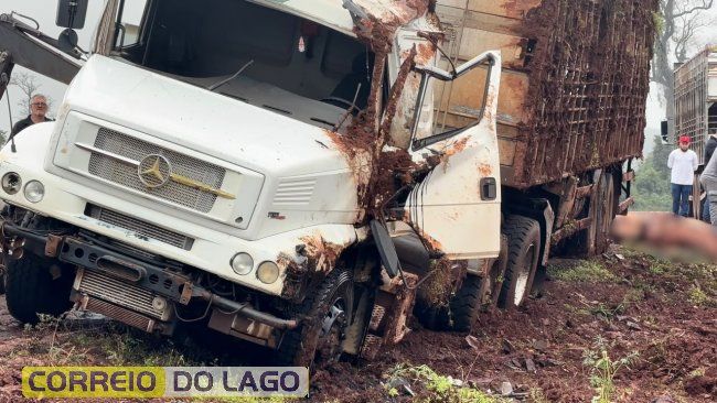 Caminhão carregado com suínos tomba no interior de Santa Helena e deixa animais mortos