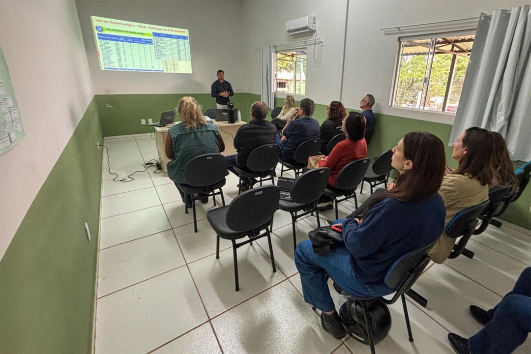 Combate à febre chikungunya é o centro das atenções em encontro de comitê