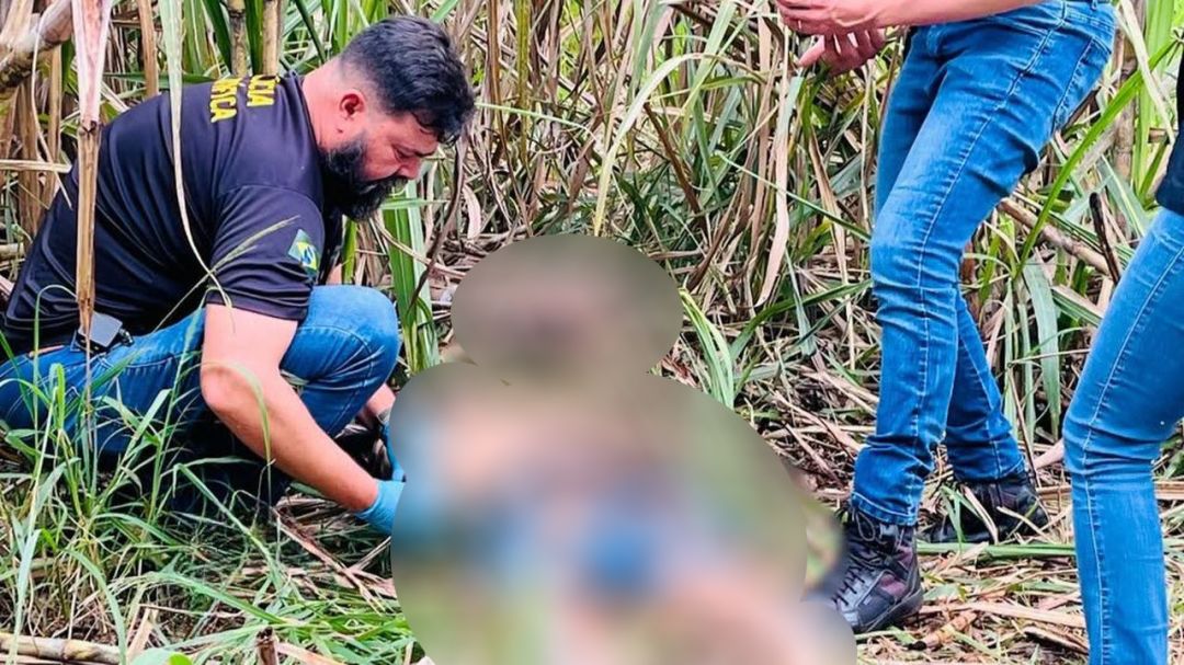 Polícia Civil investiga duplo homicídio após corpos achados em canavial em Foz do Iguaçu