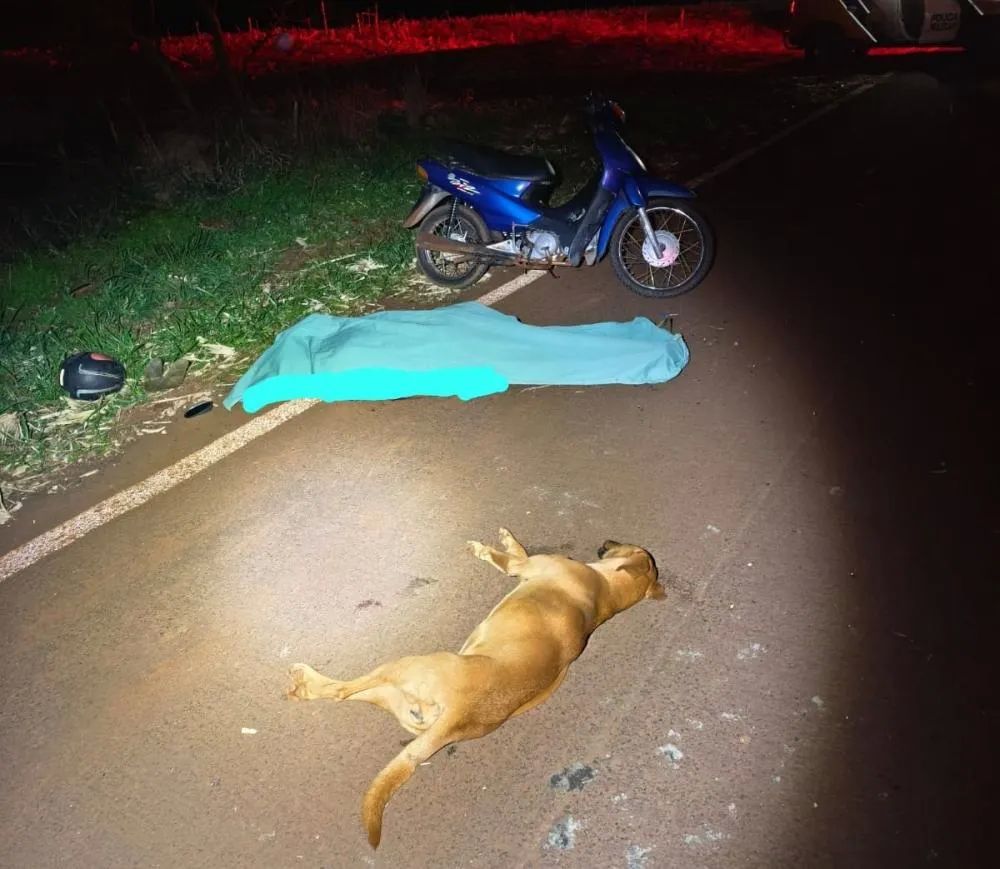Idoso morre após atropelar animal e cair de motocicleta na PR-495