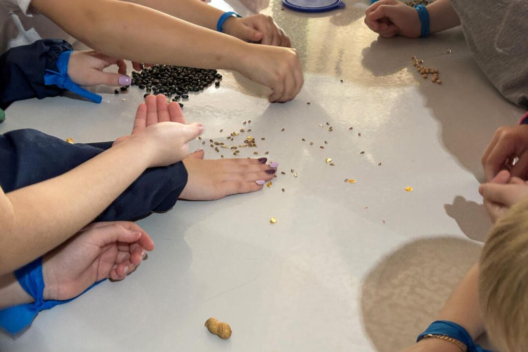 Semana do Agricultor tem gincana e oficinas na Escola Princesa Isabel, no distrito de Dois Irmãos