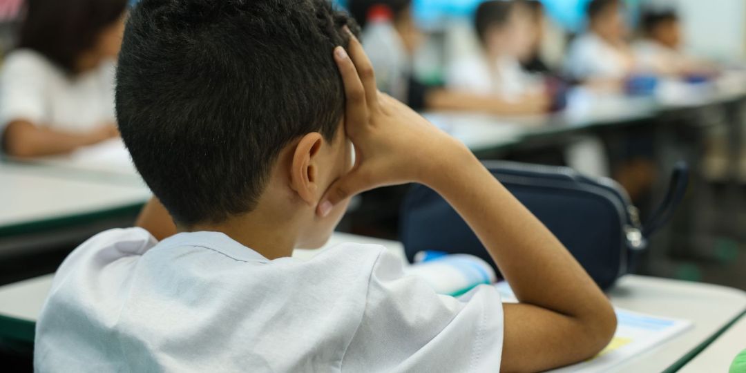 Coleta de dados da 1ª etapa do Censo Escolar 2026 encerra nesta sexta-feira