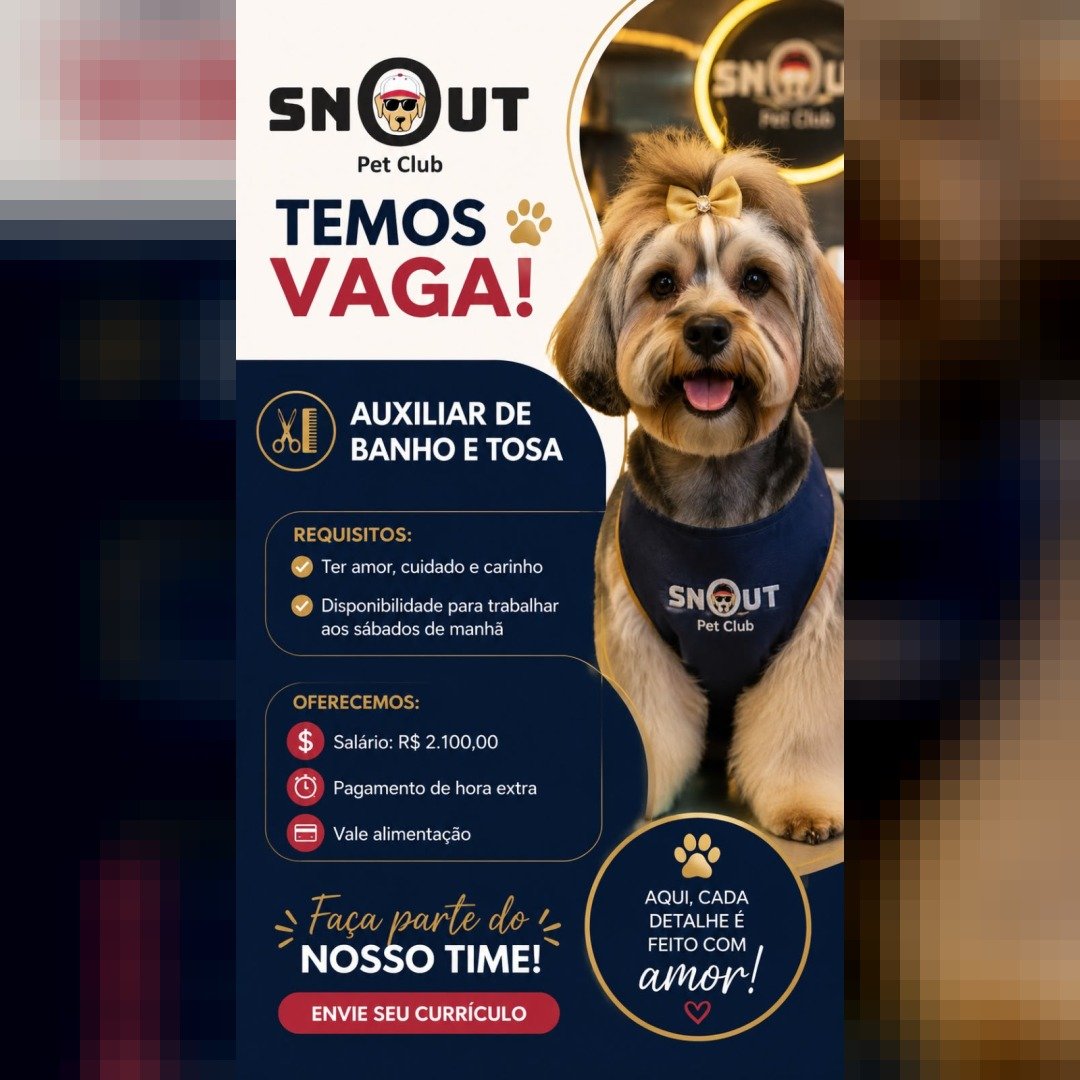 Snout Pet Club contrata Auxiliar de Banho e Tosa em Toledo