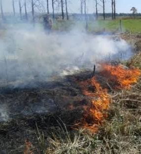 Prefeitura de Toledo alerta para riscos do mato alto e das queimadas e reforça denúncias pelo 156
