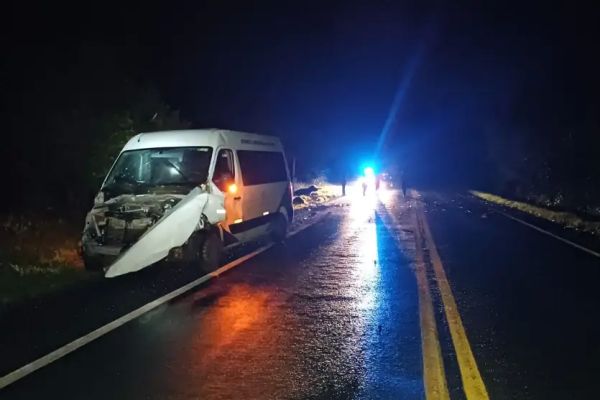 Búfalos invadem rodovia e provocam acidente com micro-ônibus da Saúde no Paraná