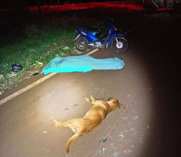 Idoso morre após atropelar animal e cair de motocicleta na PR-495