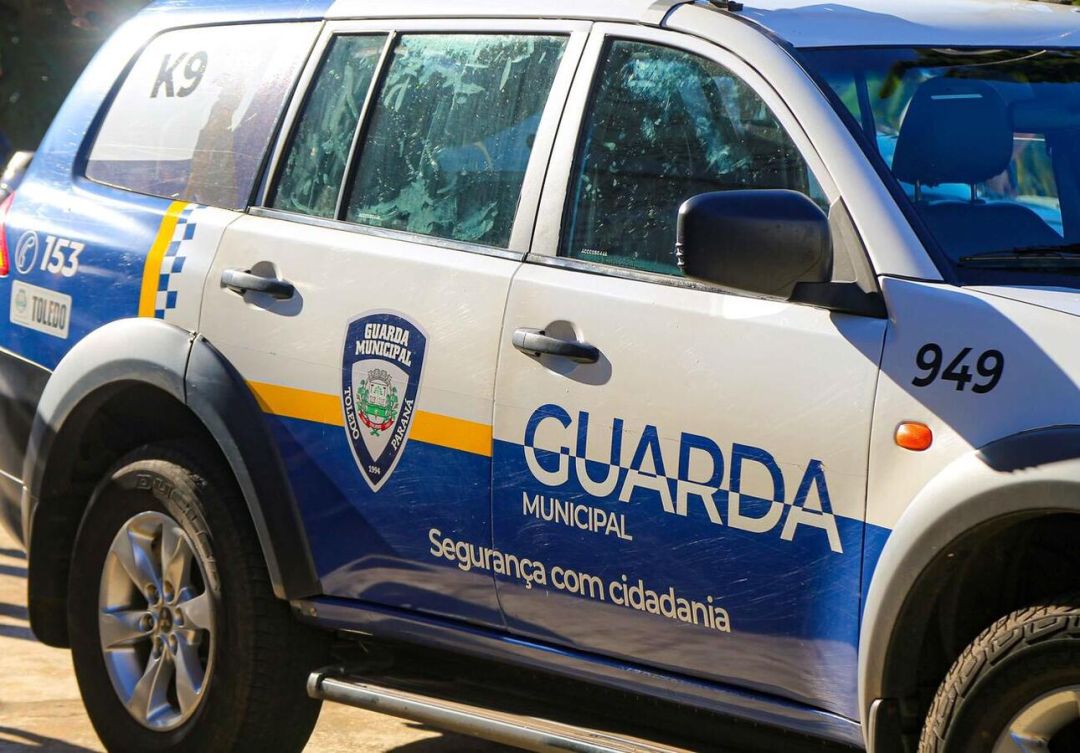 Enxame de abelhas mobiliza Defesa Civil e área é isolada na Avenida José João Muraro, em Toledo