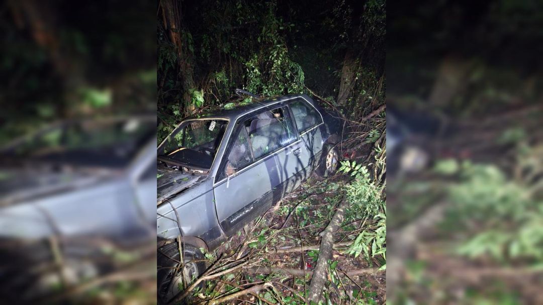 Motorista fica ferido após Monza sair da pista e bater contra árvores na PR-364 em Palotina