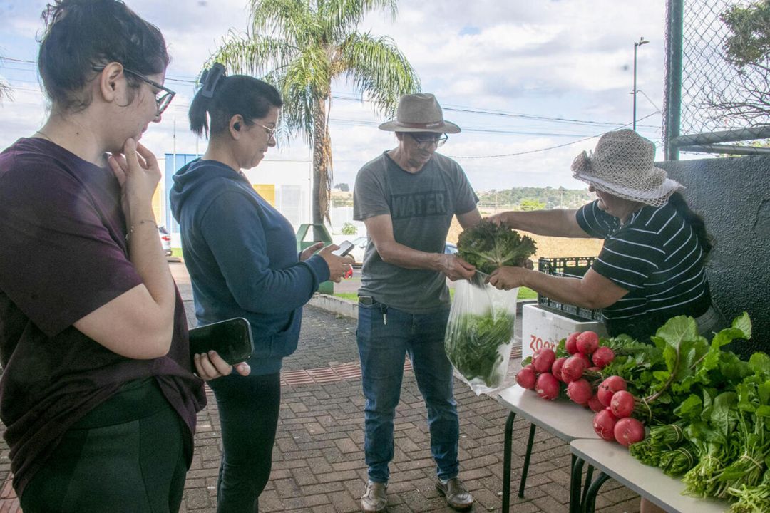 Projeto Horta Agrocidadão realiza primeira venda pública de hortaliças em Toledo