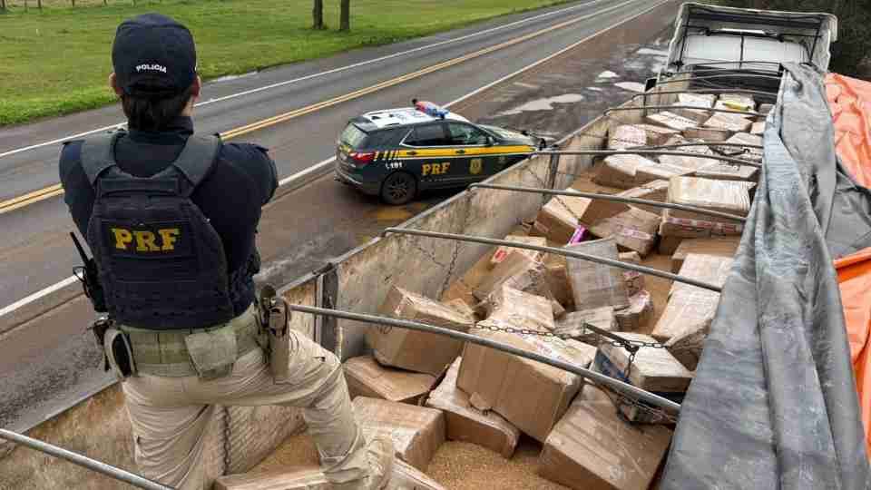 PRF apreende mais de 3 toneladas de maconha escondidas em carga de trigo na BR-277