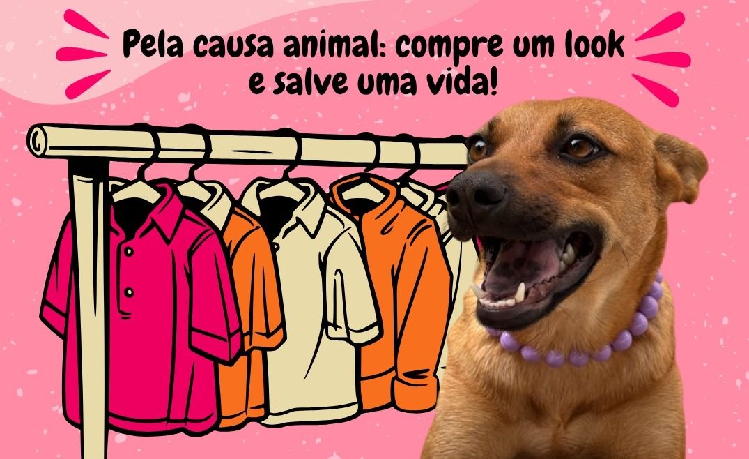 Arrecadação de ração e Bazar das Patas ocorrem neste sábado (15) no Lago Municipal de Toledo