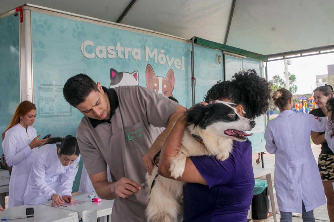 Secretaria do Meio Ambiente vacina cerca de 400 cães e gatos contra a raiva